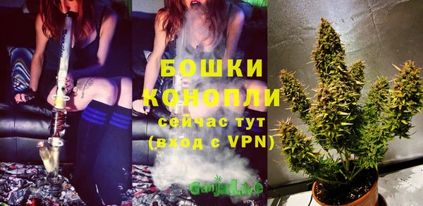 мескалин Михайлов